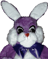 Purple Bunny